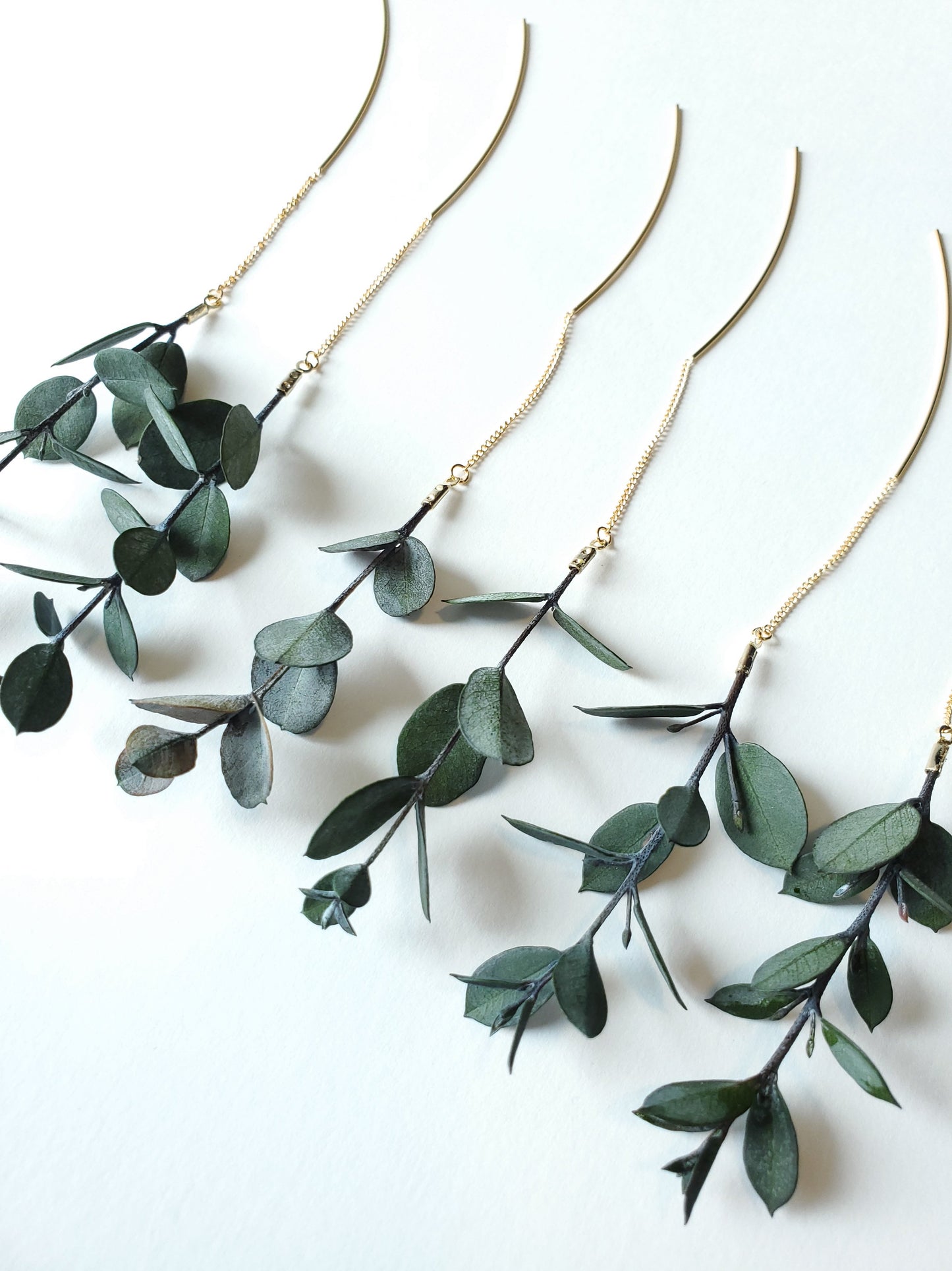 Eucalyptus