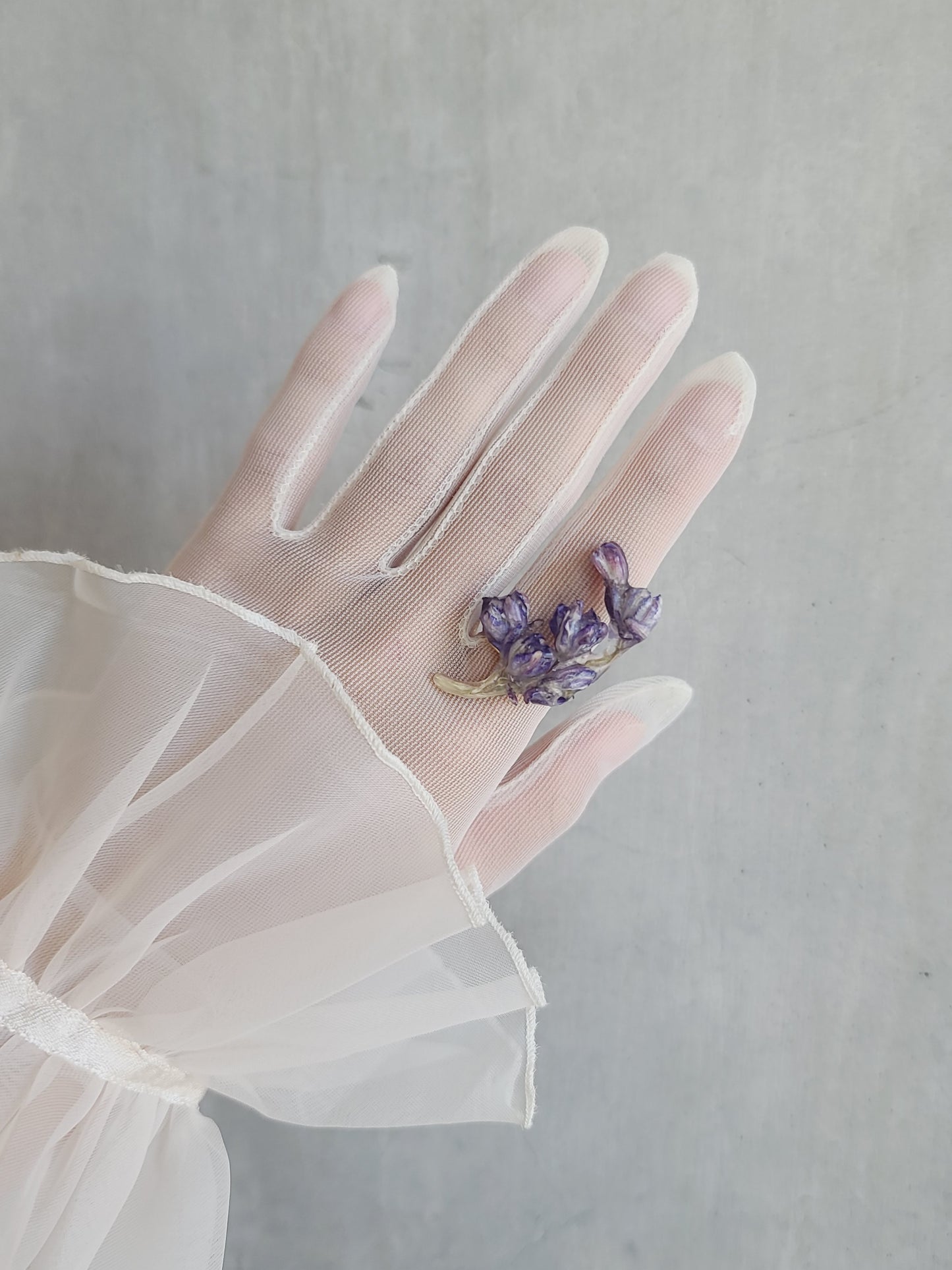 Delphinium 01 ~Purple~