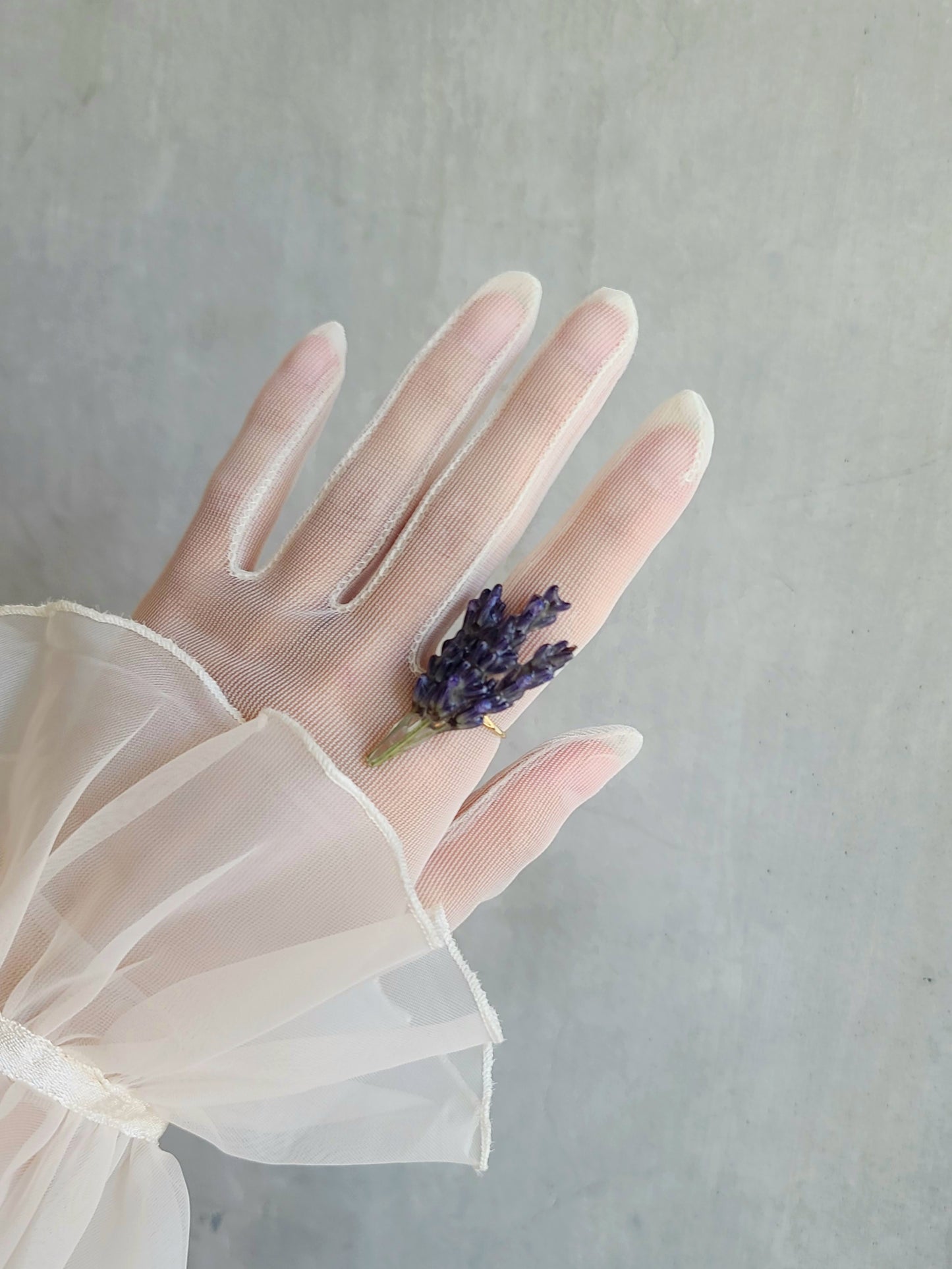 Lavender
