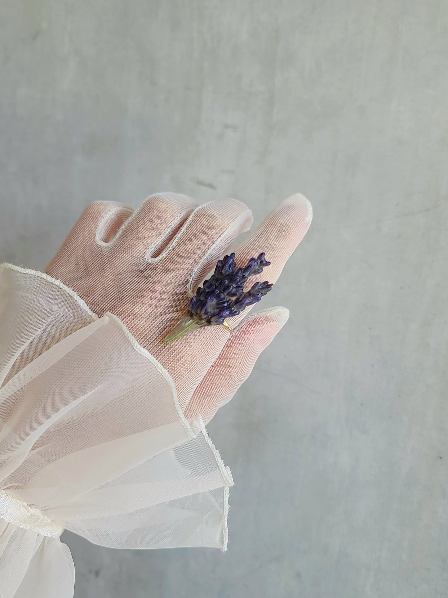 Lavender