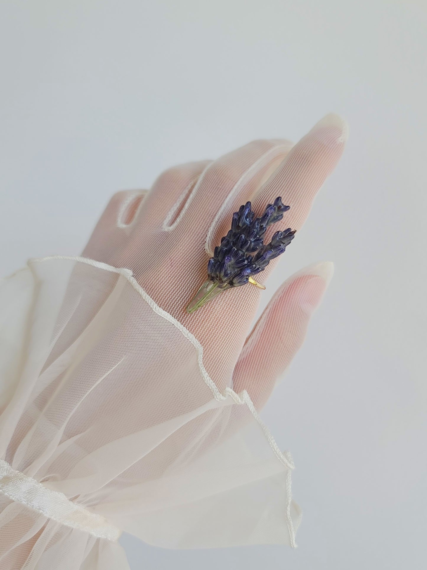 Lavender