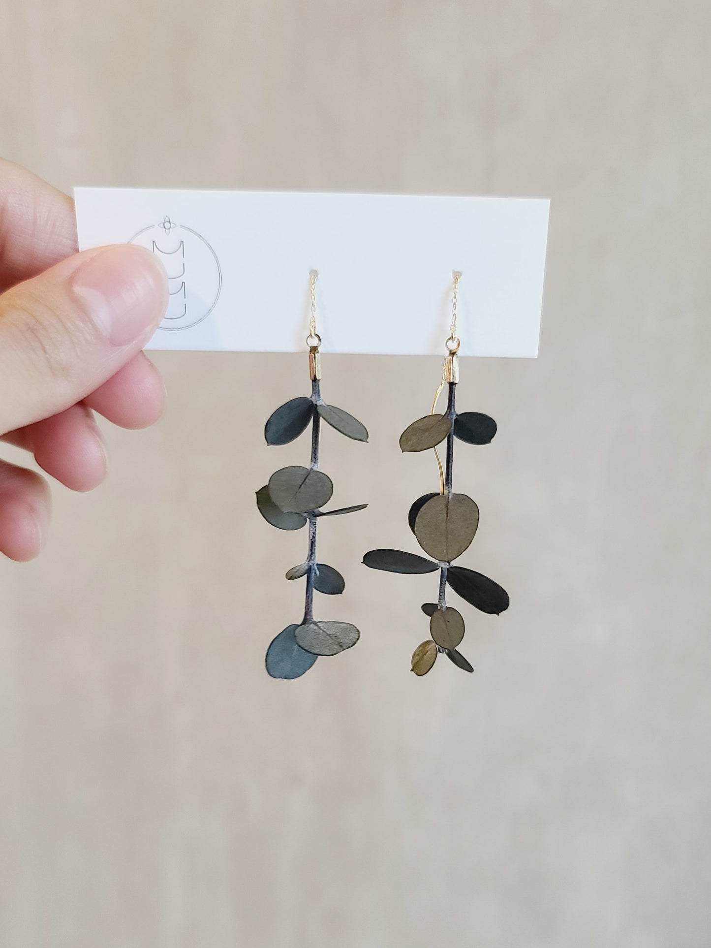 Eucalyptus