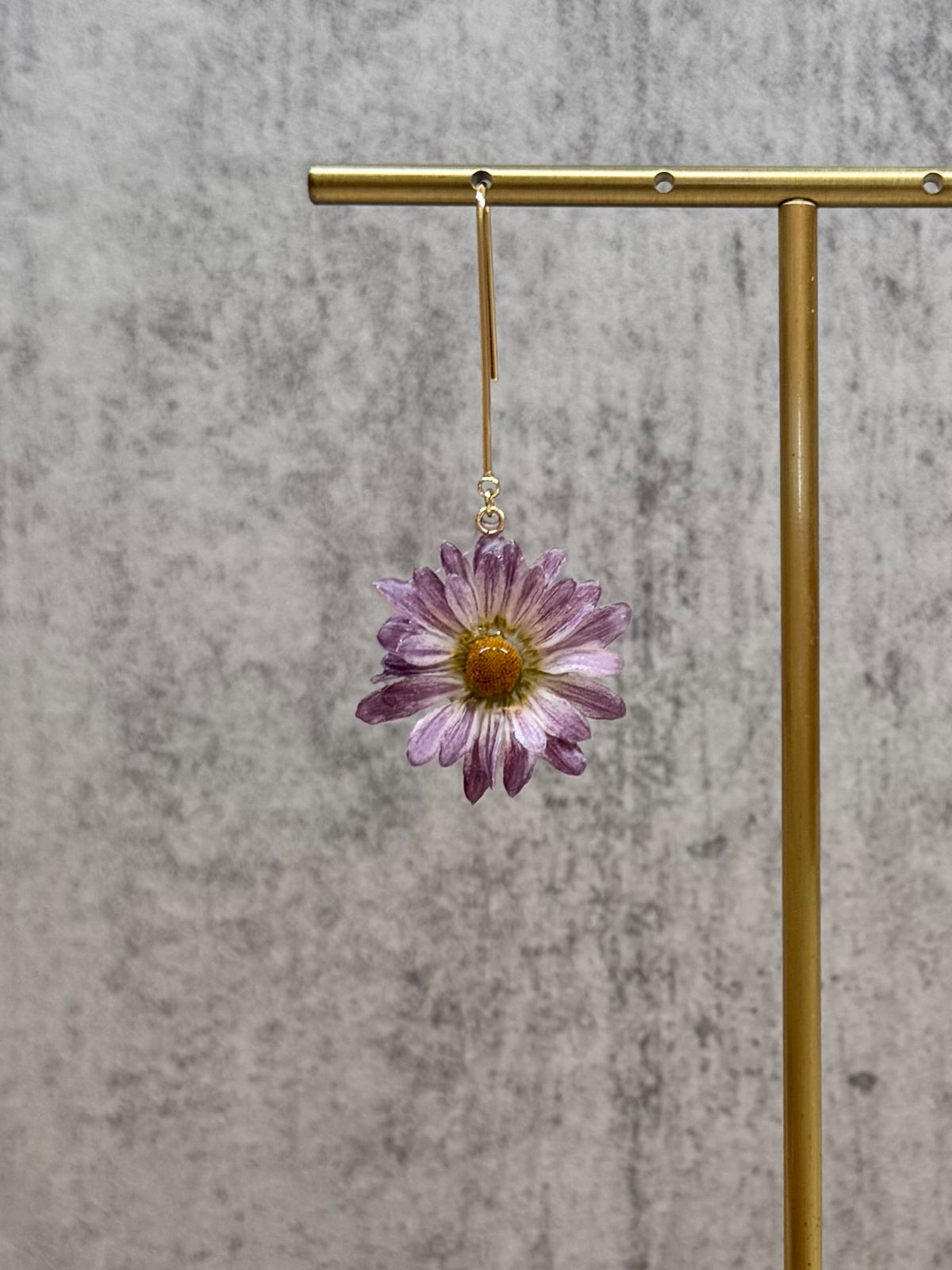 Chrysanthemum ~Purple~
