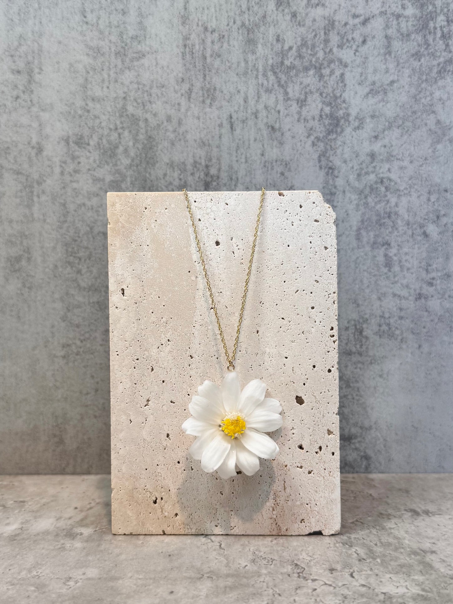 Zinnia ~White~