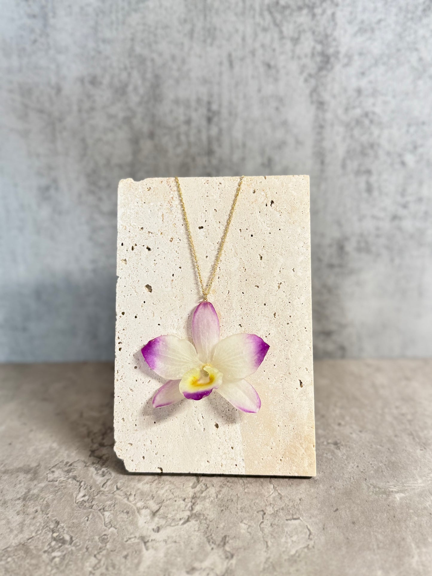 Dendrobium Orchid ~Pink~