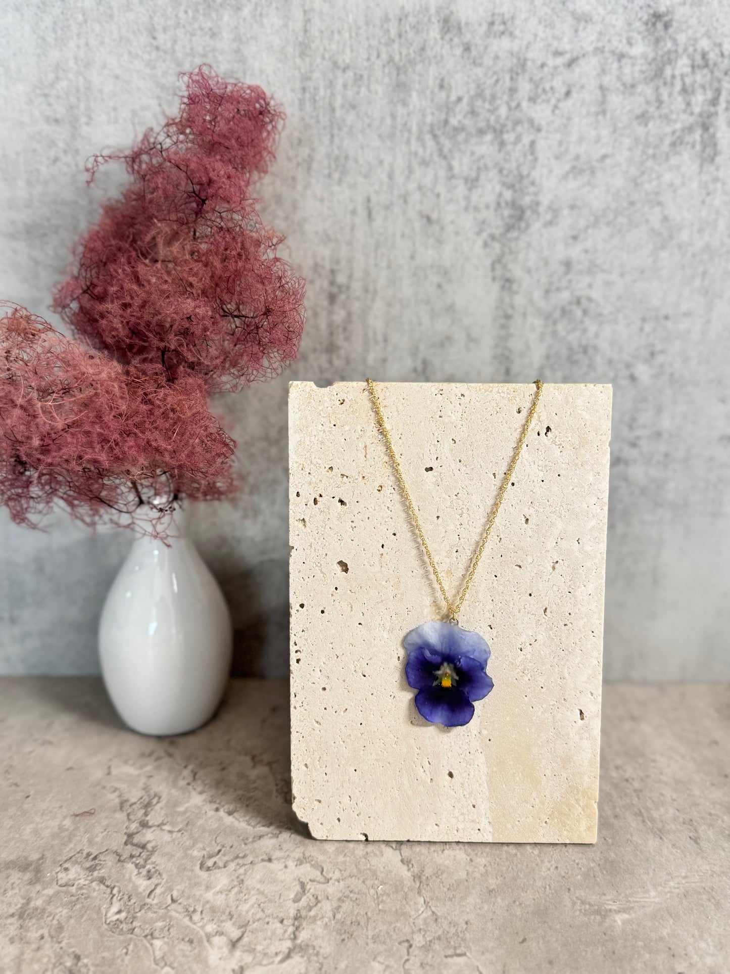Viola