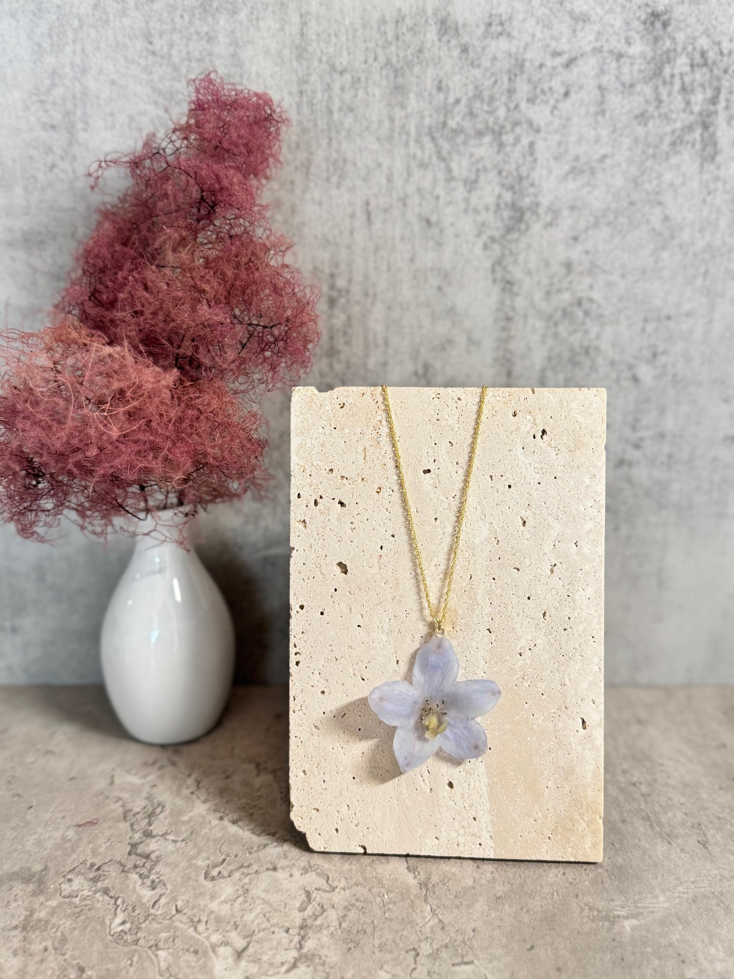Delphinium