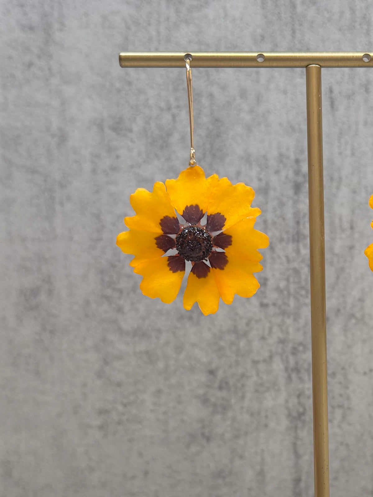 Coreopsis