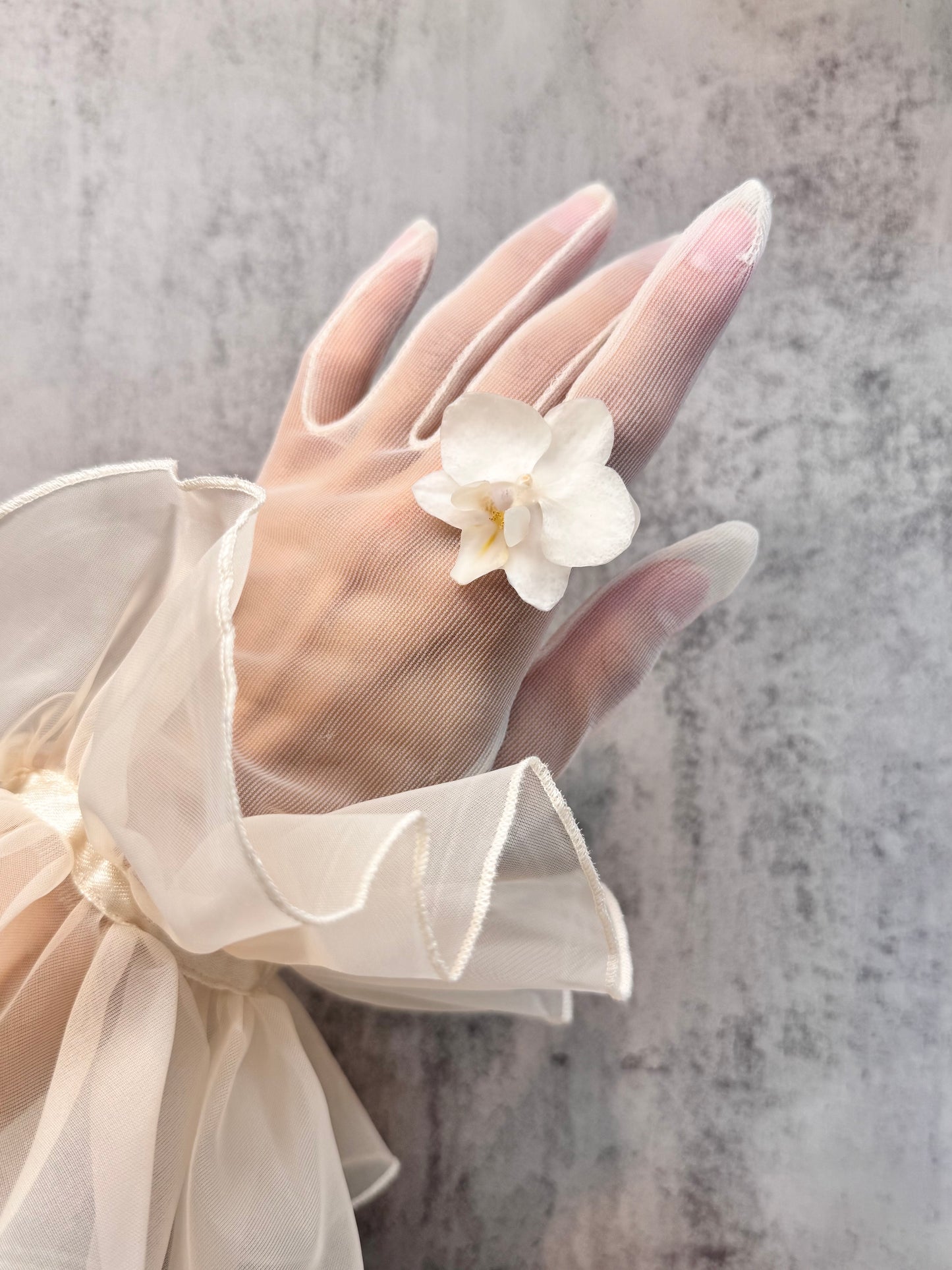 Orchid ~White~