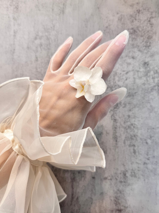 Orchid ~White~