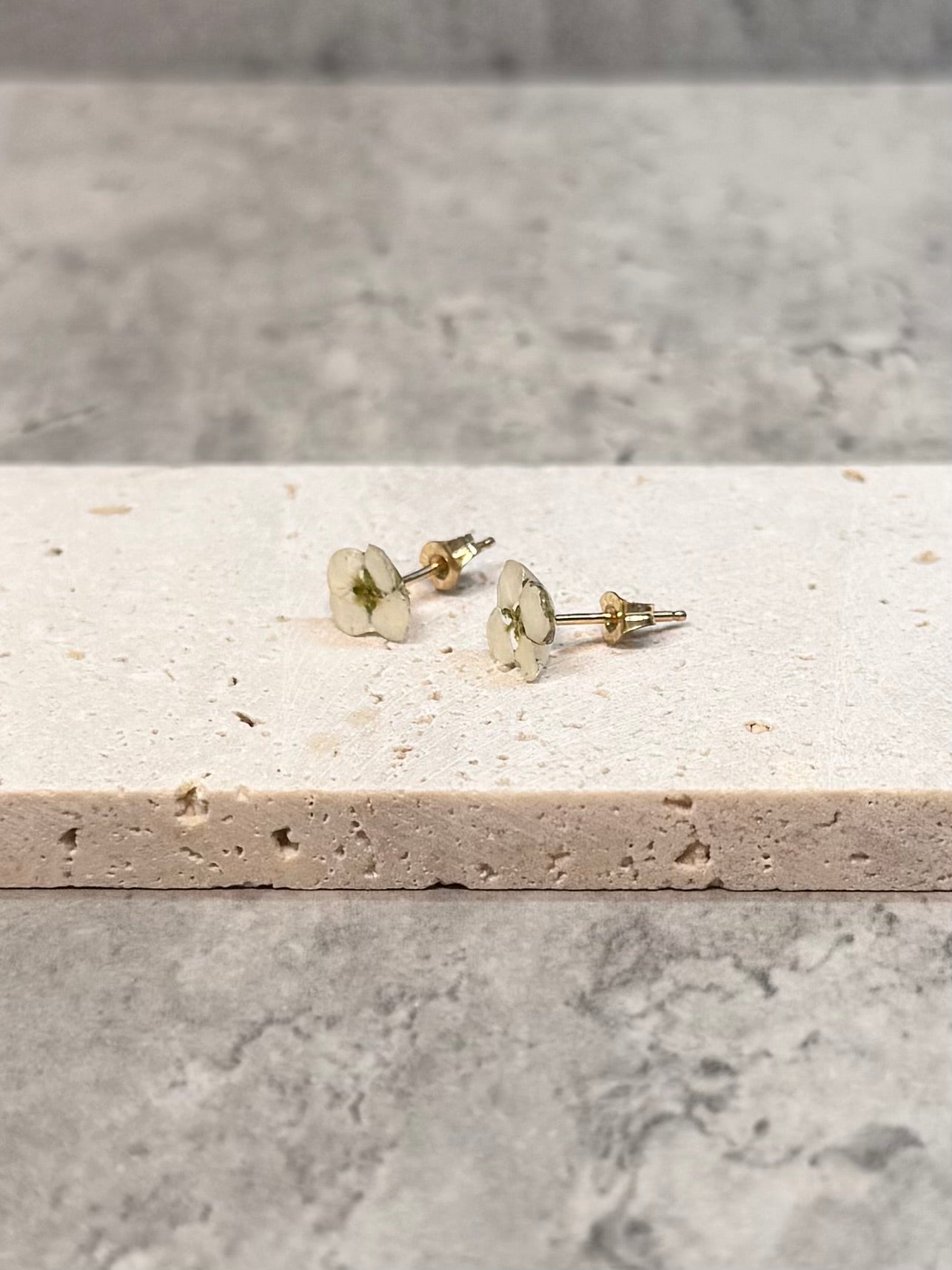 Alyssum studs