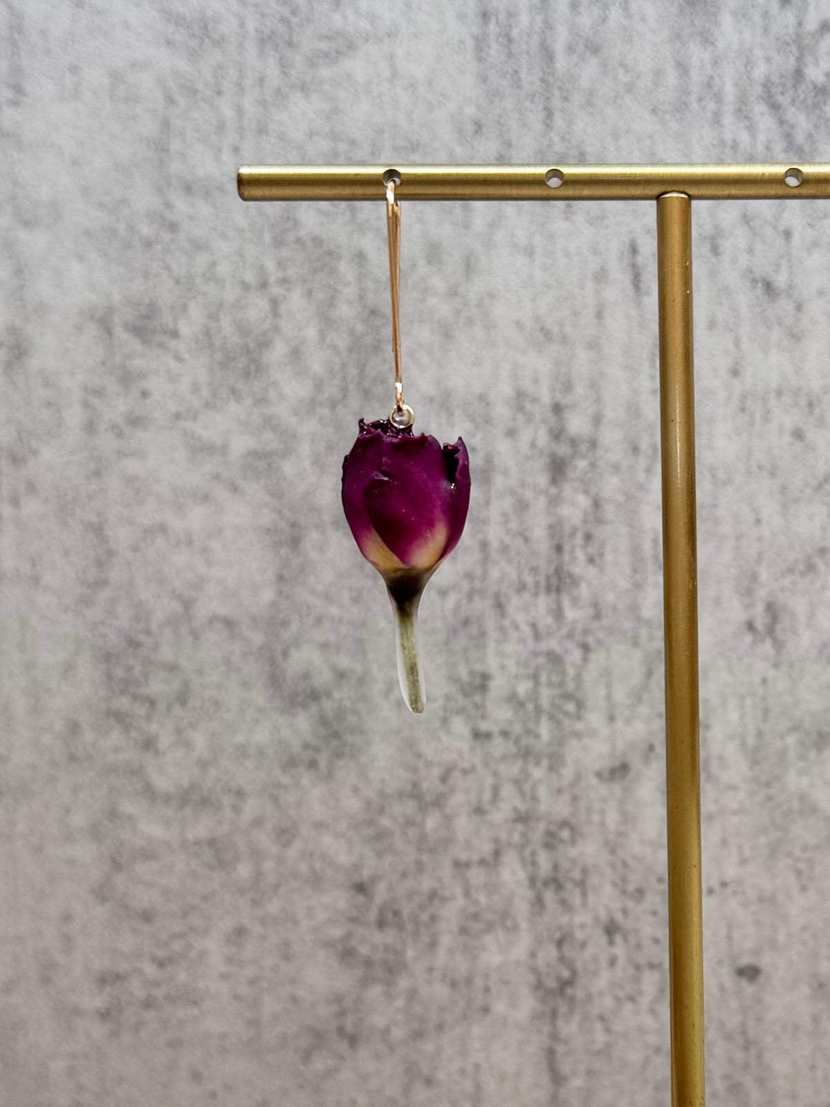 Rose (s) ~Purple~
