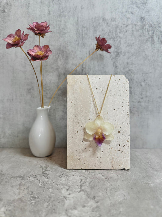 Orchid ~White x Purple~