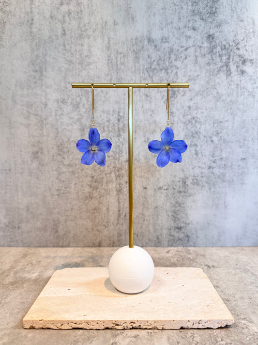 Delphinium ~Blue~
