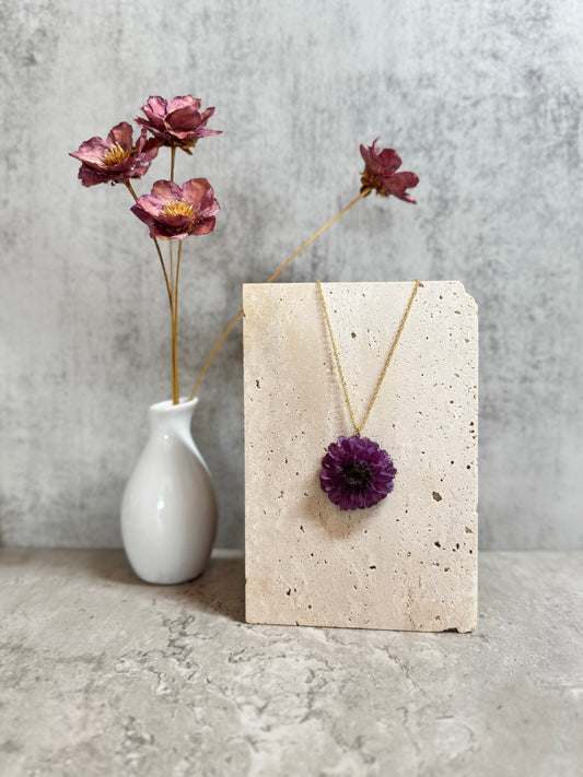 Chrysanthemum ~Purple~