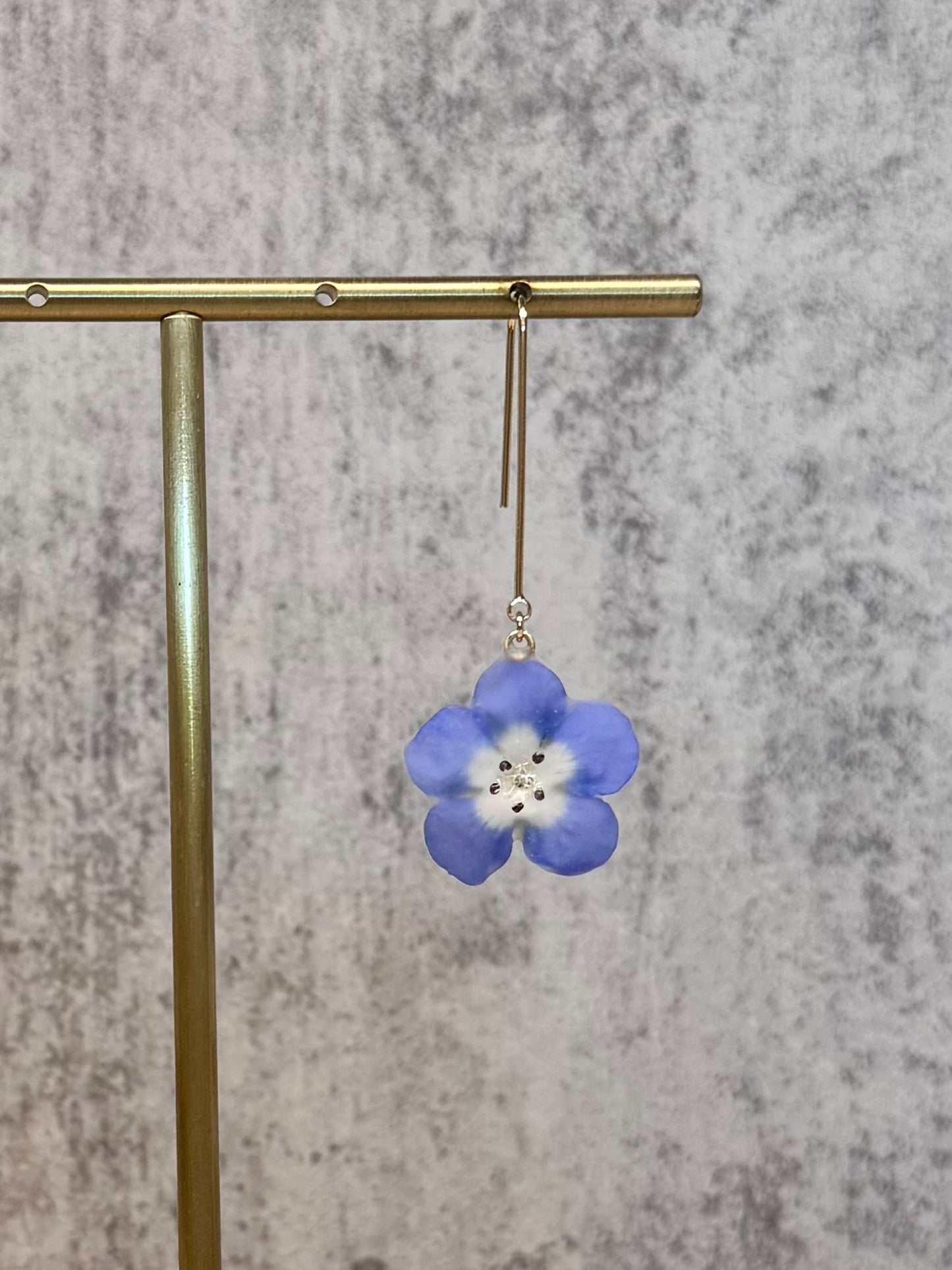 Nemophila