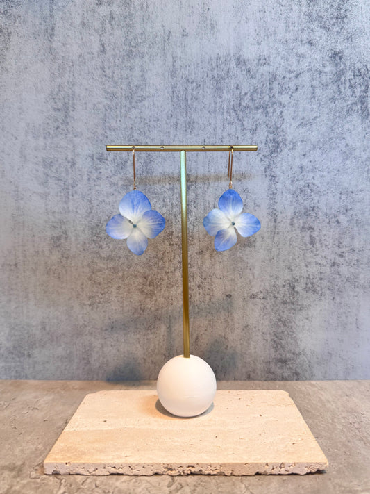 Hydrangea (L) ~Blue~