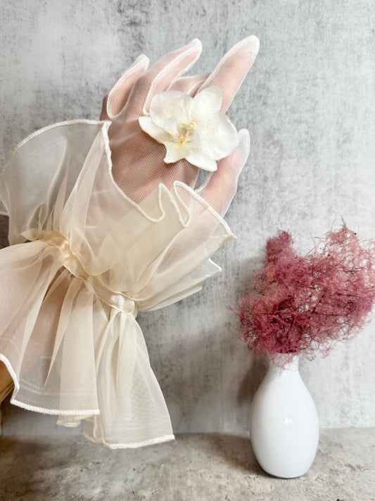 Orchid (L)