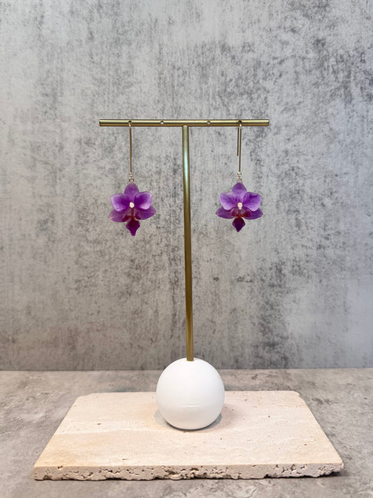 Orchid (s) ~Purple~