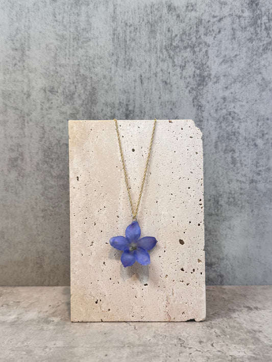 Delphinium ~Blue~