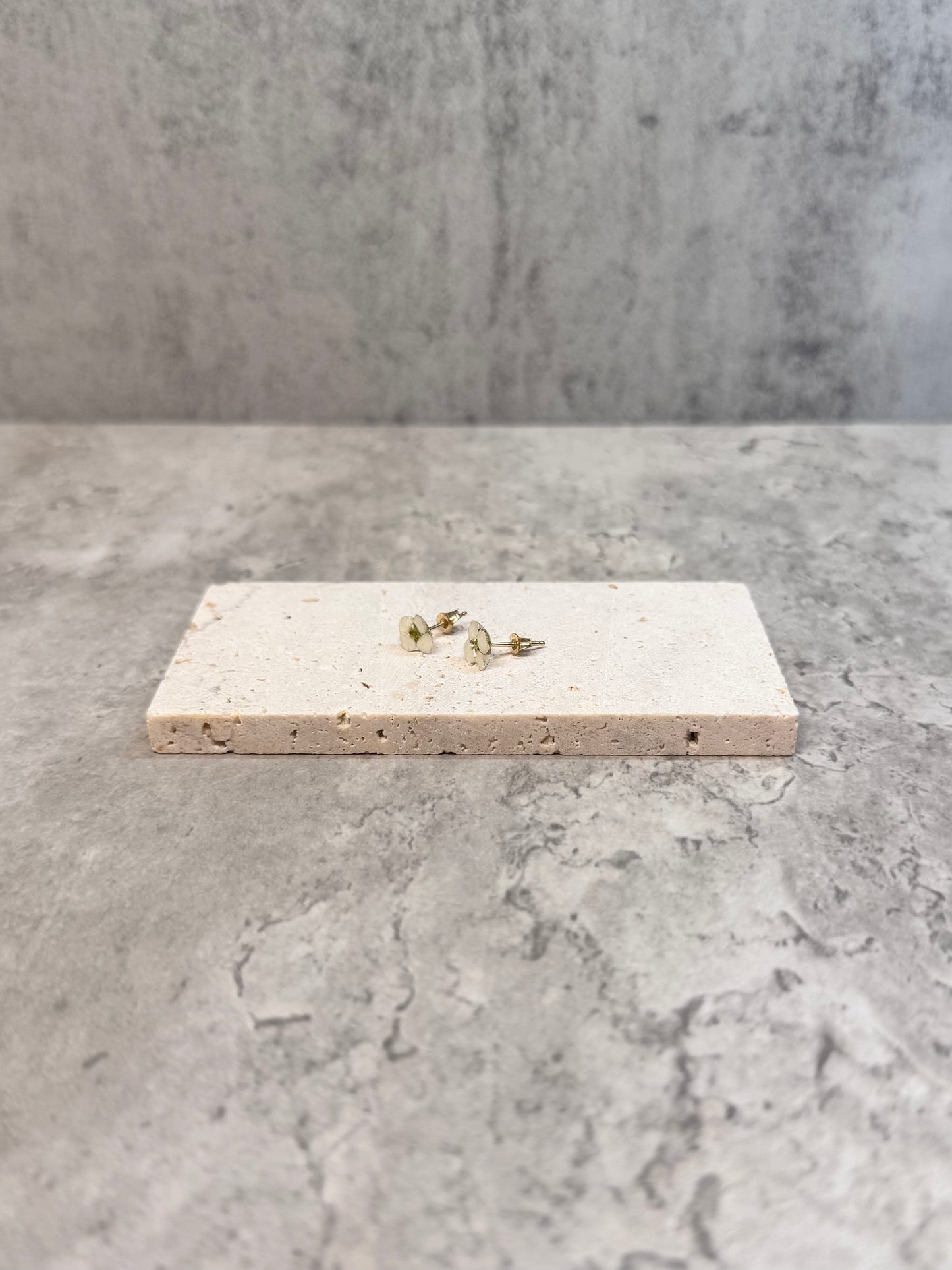 Alyssum studs