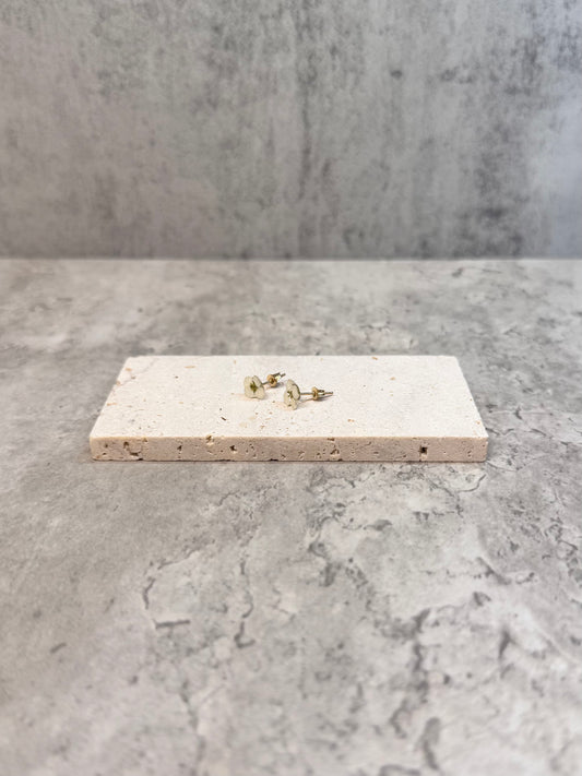 Alyssum studs