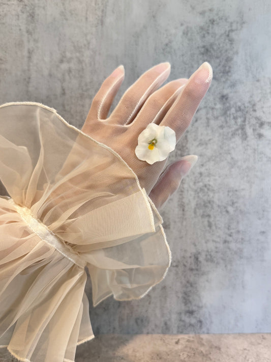 Viola ~White~