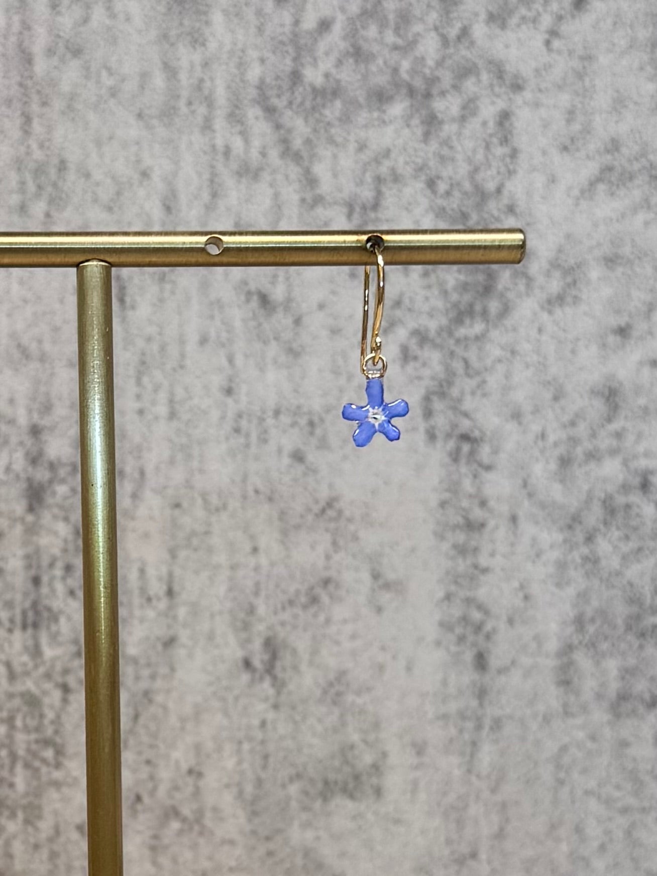 Forget me not (s)