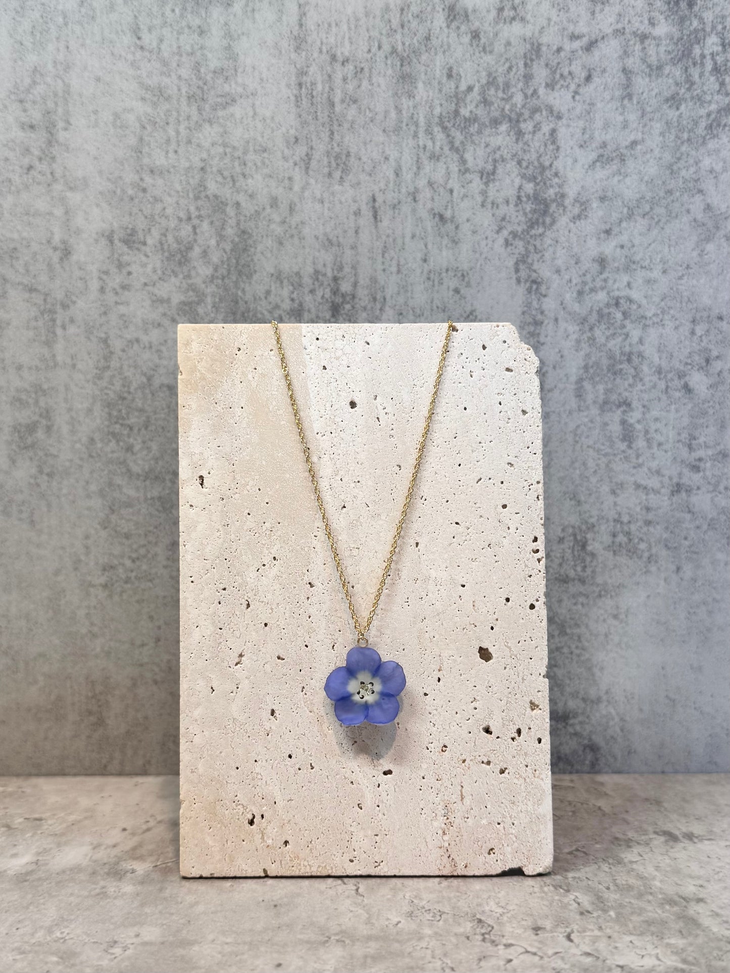 Nemophila