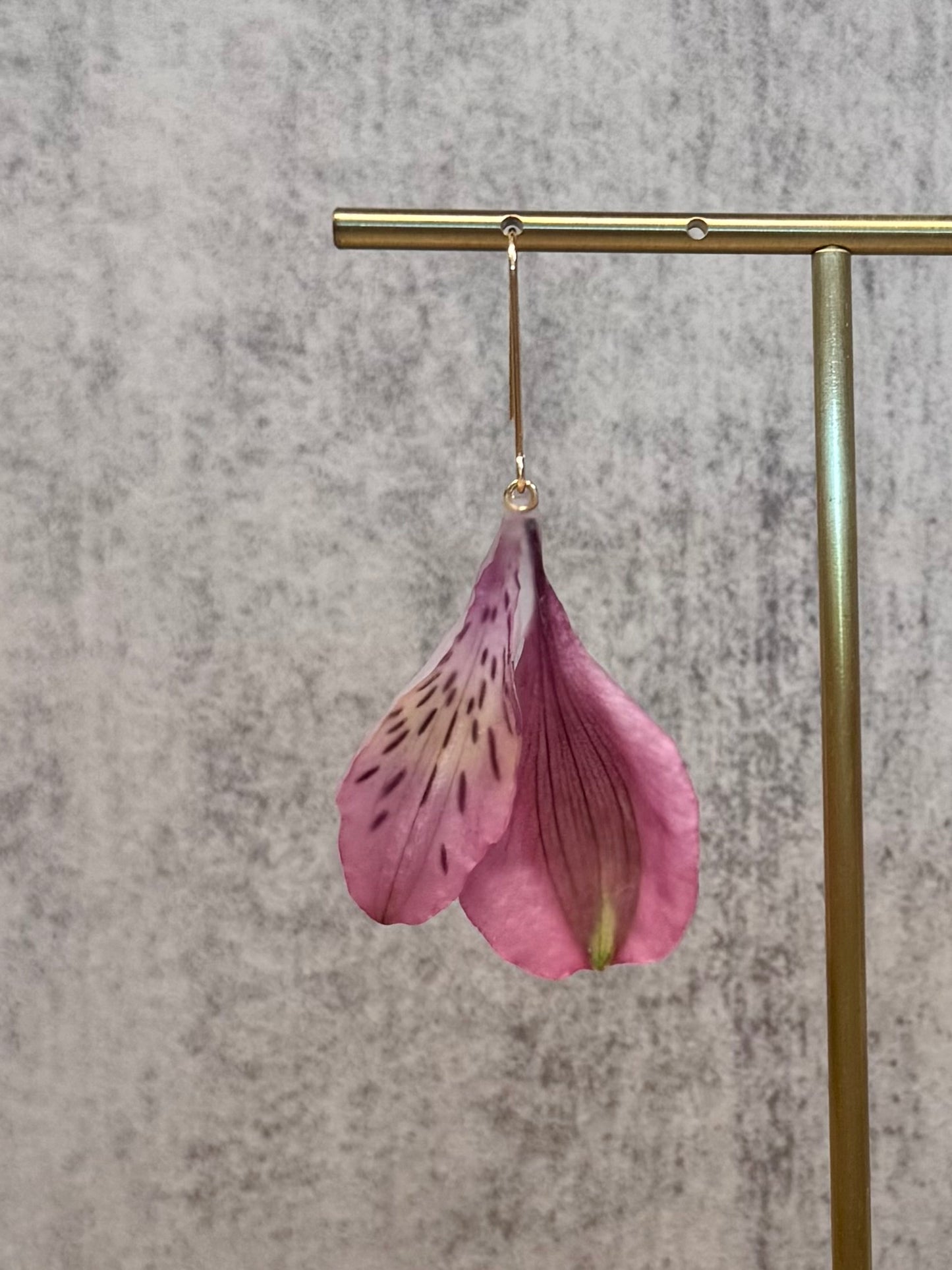 Alstroemeria petals