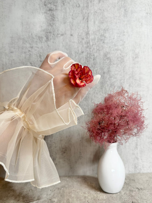 Carnation