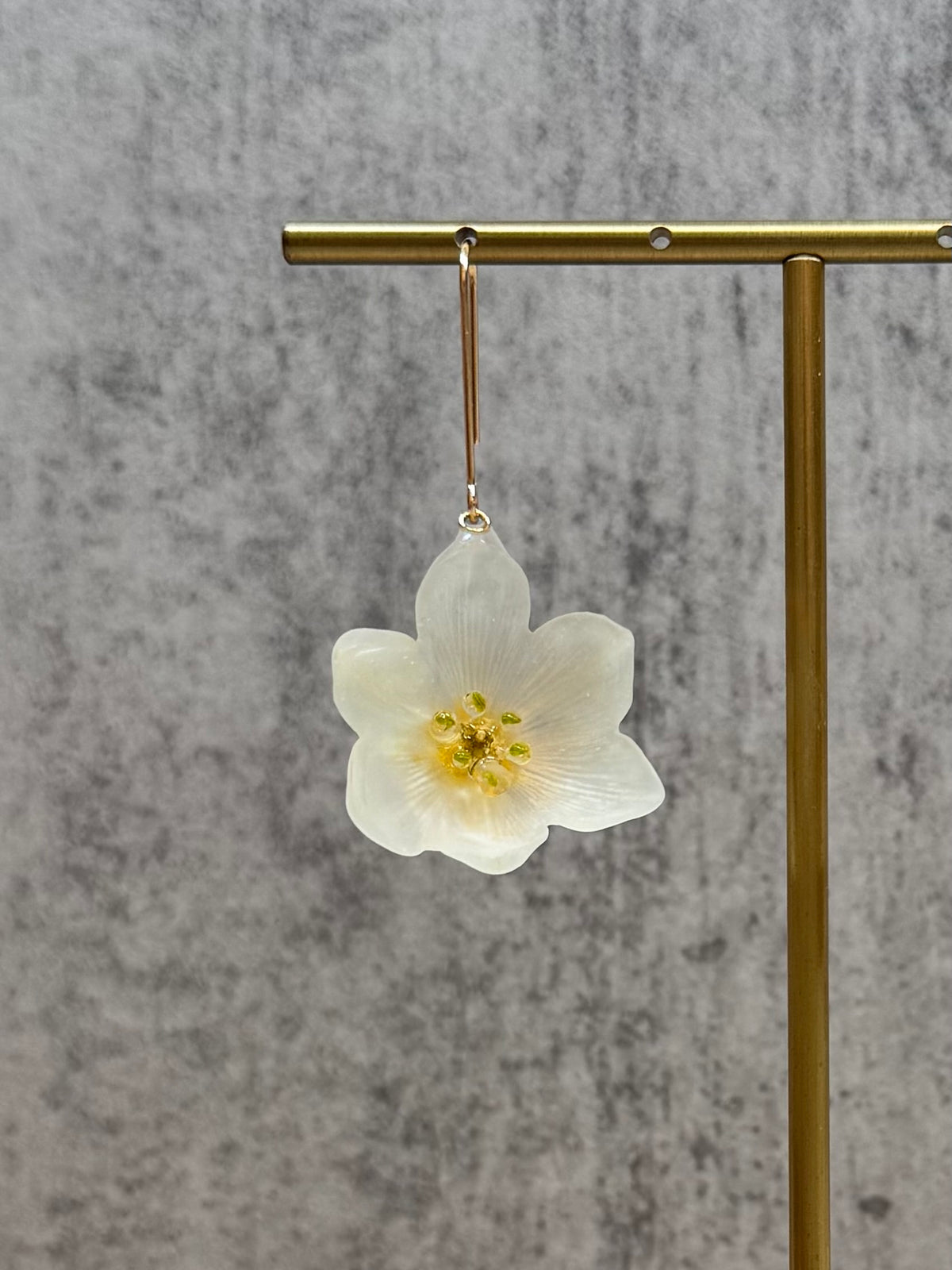 Chincherinchee