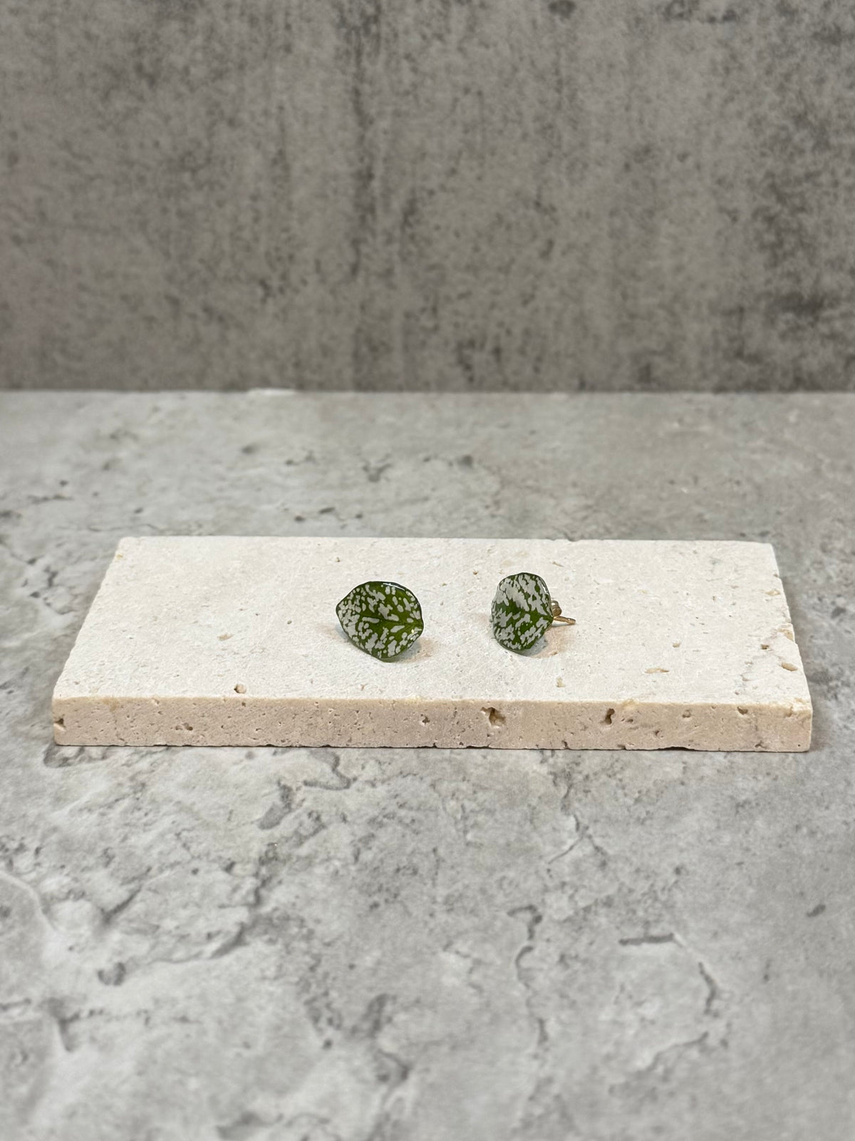 Hypoestes (s) Studs
