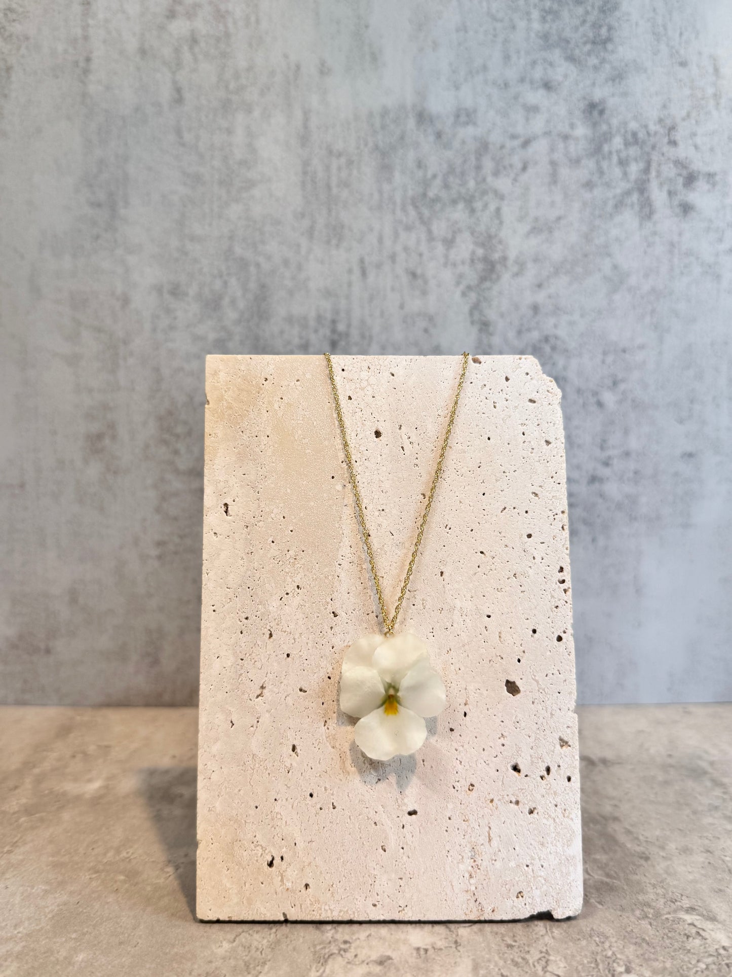 Viola ~White~
