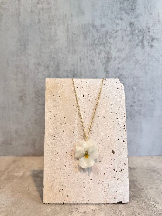 Viola ~White~