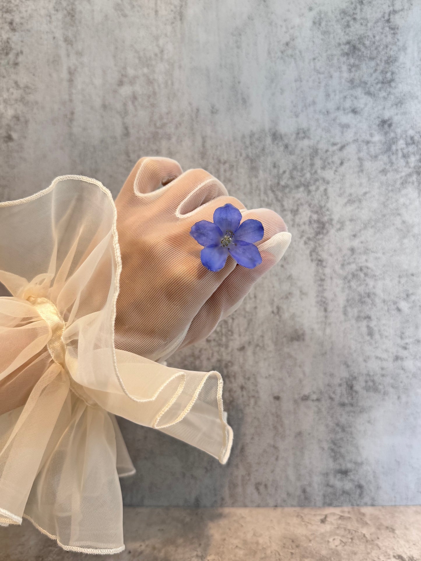 Delphinium ~Blue~