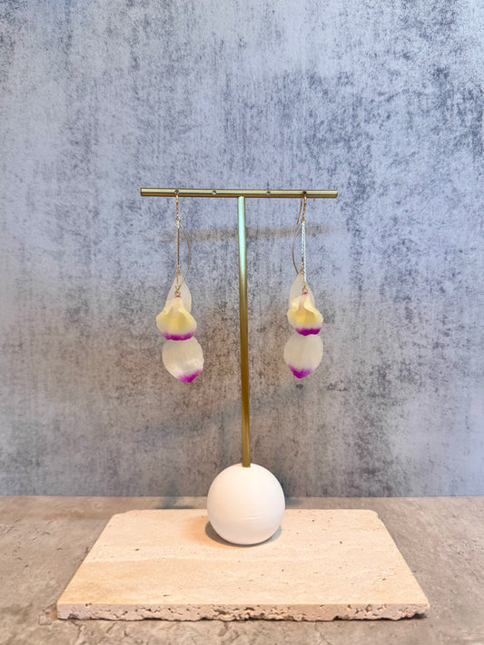 Dendrobium Orchid Petal