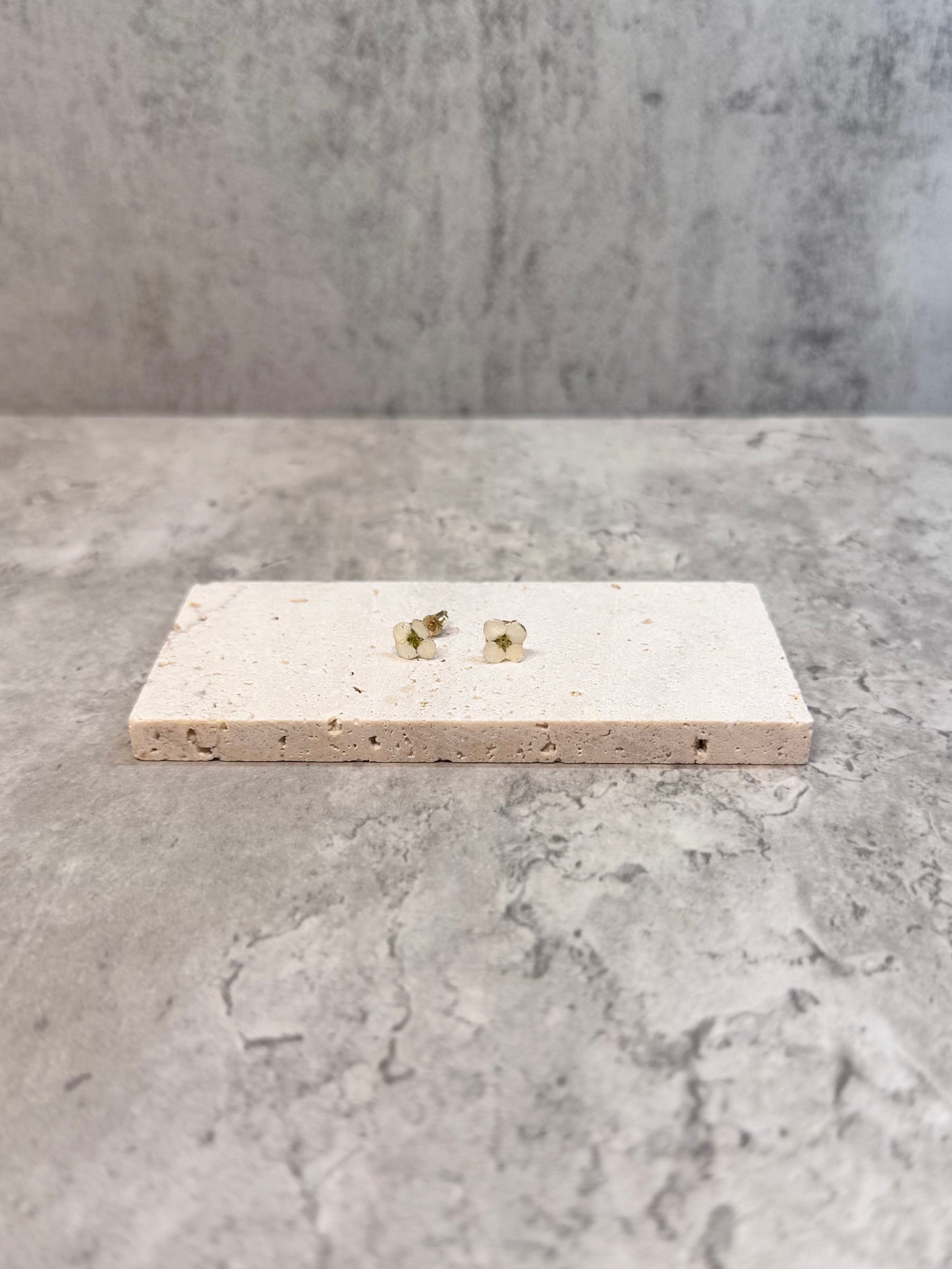 Alyssum studs