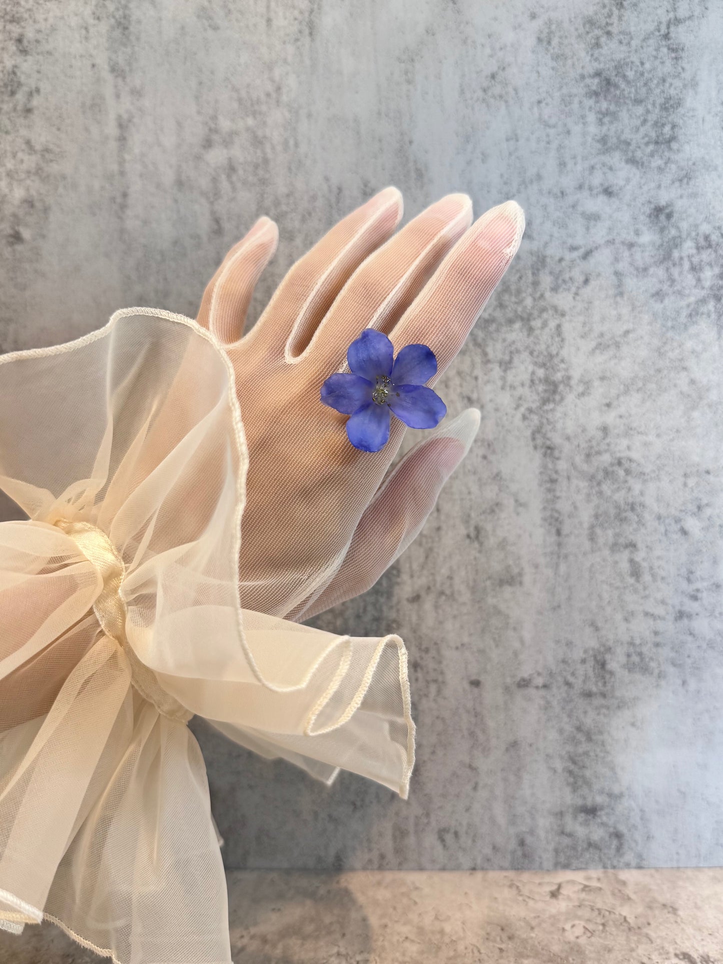 Delphinium ~Blue~