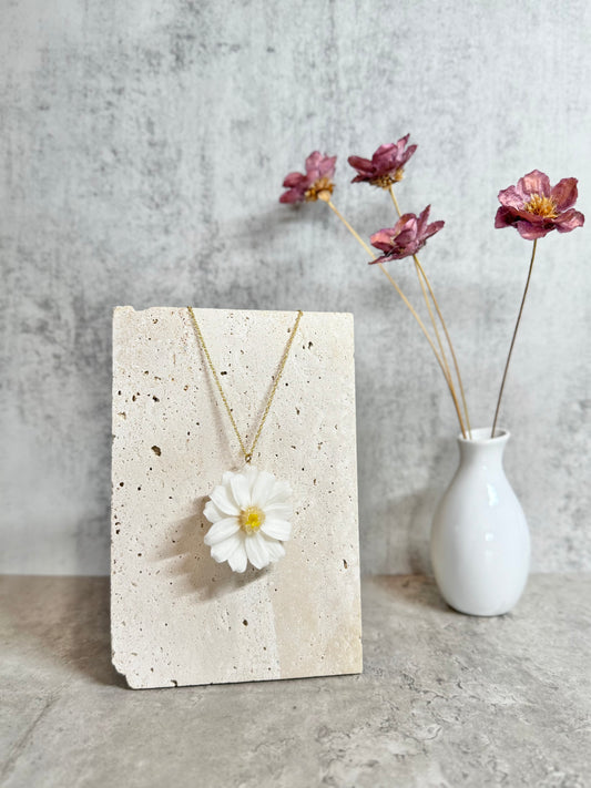 Zinnia ~White~