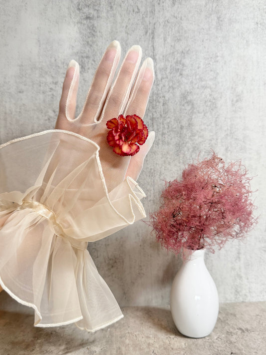 Carnation